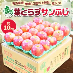ふるさと納税 青森市 【青森市産】糖度13度以上!蜜入り!訳あり葉とらずサンふじ家庭用約10kg