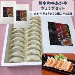 ふるさと納税 益城町 あか牛ぎょうざセット(あか牛餃子20個入り×2箱)(益城町)