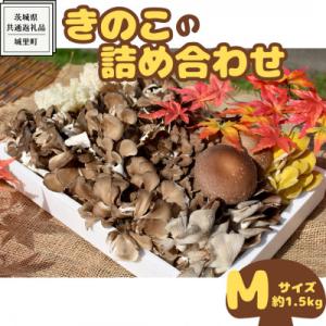 ふるさと納税 牛久市 きのこの詰め合わせ　Mサイズ(約1.5kg)(茨城県共通返礼品:城里町)｜y-sf