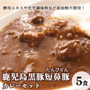 ふるさと納税 姶良市 鹿児島黒豚「短鼻豚(たんびとん)」カレーセット[a-106](姶良市)