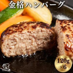 格之進の金格ハンバーグ 120g×6個　プレミアム 高級 国産 牛肉 白金豚
