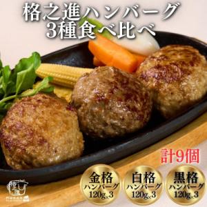 ふるさと納税 一関市 3種の格之進ハンバーグ 120g(各3個)計9個プレミアム 無添加 高級 国産...