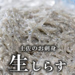 土佐のお刺身「生しらす」3個セット <しらす出汁を使った特製のポン酢タレ付き>