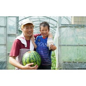 ふるさと納税 島原市 【2026年6月より順次...の詳細画像1