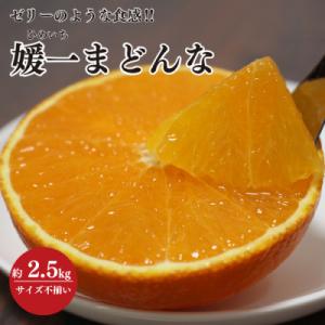 【2026年11月以降発送】ゼリーのような食感!「媛一まどんな」約2.5kg入【C28-42】