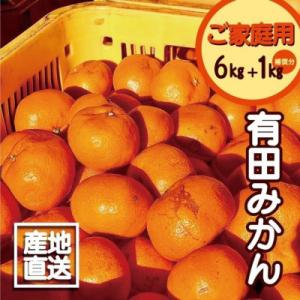 ふるさと納税 湯浅町 【訳あり】有田みかん 6kg+1kg保証分 　サイズ混合 11月より順次発送 　訳ありみかん