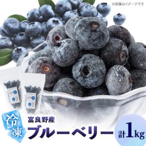 2026年富良野産 大粒 冷凍ブルーベリー 500g×2袋
