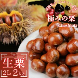 2026年産!大粒生栗 先行予約受付中 かすみがうら市産　生栗　2Lサイズ 2kg