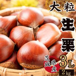 2026年産!大粒生栗 先行予約受付中 かすみがうら市産　生栗　3Lサイズ 2kg