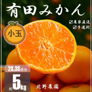 家庭用 有田みかん 和歌山 訳あり 小玉(2S,3Sサイズ混合) 5kg