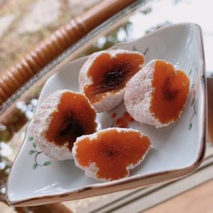 ふるさと納税 飯田市 南信州の名産品 【市田柿...の詳細画像2