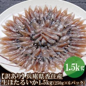 【訳あり】兵庫県香住産　生ほたるいか 1.5kg(250g×6パック) 07-02