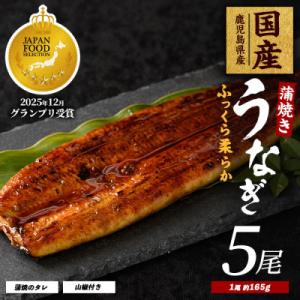 鹿児島県産うなぎ蒲焼じっくり焼き約165g×5尾 IB021-002