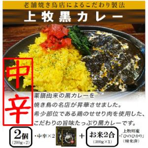 ふるさと納税 上牧町 【ご当地カレー】上牧黒カレー(中辛)2個+地元米(ひのひかり)2合をセット