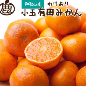 ふるさと納税 湯浅町 《2024年11月より発送》家庭用　小玉な有田みかん5kg+150g(傷み補償...