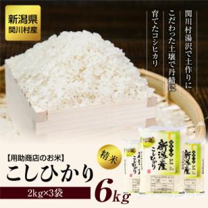 R7年産 土作りからこだわった岩船産コシヒカリ 精米6kg(2kg×3袋)[用助商店]