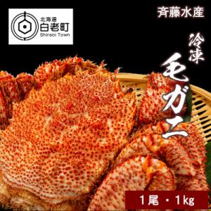 ふるさと納税 白老町 冷凍毛がに約1kg×1尾【斉藤水産】 AM002