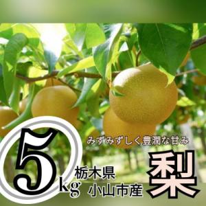 ずっしり5kg【にっこり】　栃木県小山市産の梨