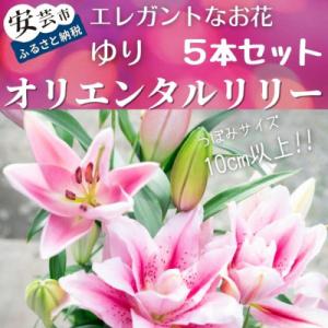 ふるさと納税 安芸市 ユリ(オリエンタルリリー)5本セット