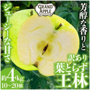 「王林」訳あり約4kg