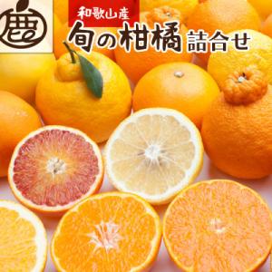 ふるさと納税 湯浅町 厳選 柑橘詰合せ2kg+60g(傷み補償分)【有田の春みかん詰め合わせ】【光セ...