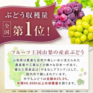 ふるさと納税 山梨市 【2026年発送】大人気...の詳細画像1