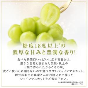 ふるさと納税 山梨市 【2026年発送】大人気...の詳細画像2