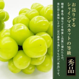 ふるさと納税 山梨市 【2026年発送】大人気...の詳細画像3
