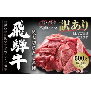 ふるさと納税 高山市 訳あり飛騨牛 焼肉 切落とし600g(150g×4P)使い勝手の良い小分け冷凍...