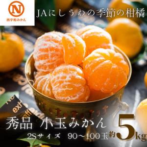 JAにしうわの季節の柑橘(にしうわみかん「秀品2S小玉みかん」約5kg)【C08-73】