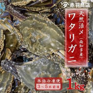 ふるさと納税 南知多町 南知多町産 活〆渡り蟹  雄雌無選別 約1kg 200〜400g×3匹〜5匹...