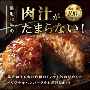 ふるさと納税 泉佐野市 国産牛肉ハンバーグ 1...の詳細画像1