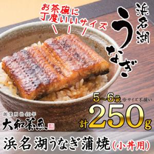 浜名湖うなぎ蒲焼(小丼用)計250g　【訳あり】サイズ不揃い5～6袋