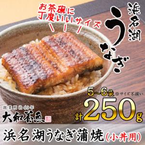 ふるさと納税 浜松市 浜名湖うなぎ蒲焼(小丼用)計250g　【訳あり】サイズ不揃い5〜6袋【たれリニ...