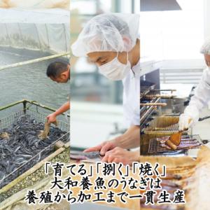ふるさと納税 浜松市 浜名湖うなぎ蒲焼(小丼用...の詳細画像2