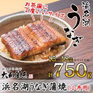 浜名湖うなぎ蒲焼(小丼用)計750g　【訳あり】サイズ不揃い15～18袋