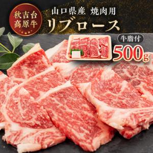 ふるさと納税 防府市 山口県産　秋吉台高原牛リブロース焼肉500g