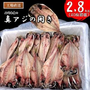 【さとふる限定】訳あり 真アジの開き干物 約2.8kg(40枚前後)冷凍