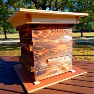 ふるさと納税 北九州市 ニホンミツバチ 巣箱 1セット