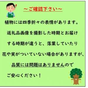 ふるさと納税 鈴鹿市 玄関やお庭のワンポイント...の詳細画像2