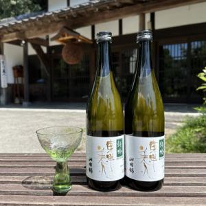 東洋美人　特吟　純米大吟醸(720ml×2本・日本酒)　山田錦使用