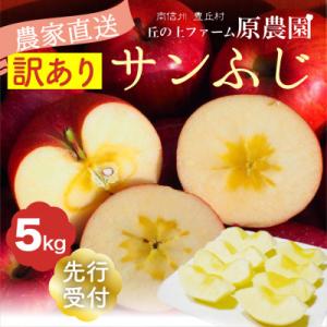 【丘の上ファーム】完熟りんご「サンふじ」訳あり5kg(11-20玉)　2026年12月発送