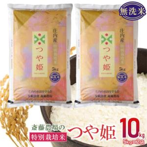 ふるさと納税 鶴岡市 斎藤農場の特別栽培米つや姫 無洗米10kg(5kg×2)A65-003