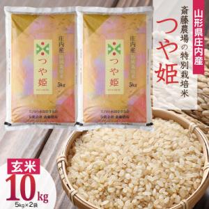 ふるさと納税 鶴岡市 斎藤農場の特別栽培米つや姫 玄米10kg(5kg×2)A55-002