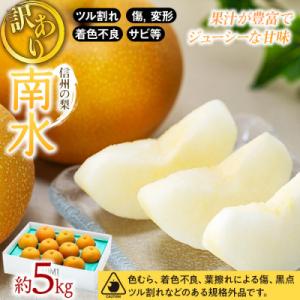 2026年秋!信州の梨【南水】訳あり　約5kg　信州が生んだ甘い梨!