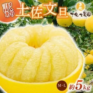 千光士農園の土佐文旦(ご家庭用小玉) 5kg
