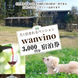 ふるさと納税 木城町 犬と泊まれるペンション「ワンヴィーノ」3,000円分宿泊券