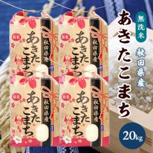 ふるさと納税 潟上市 令和5年産秋田県産あきたこまち無洗米20kg(5kg×4袋)