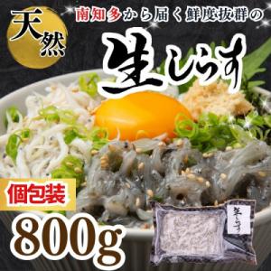 【南知多直送】天然生しらす 800g(100g×8袋)純国産・お刺身・鮮度抜群＜岬だより＞
