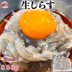 ふるさと納税 南知多町 【先行受付】岬だよりの生しらす(お刺身)800g(100g×8個)